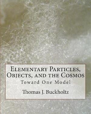 Elementary Particles, Objects, and the Cosmos