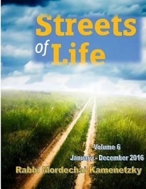 Streets of Life Collection Vol. 6 - 2016