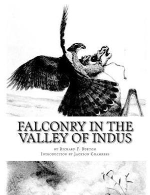 Falconry in the Valley of Indus