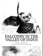 Falconry in the Valley of Indus