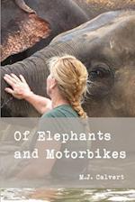 Of Elephants and Motorbikes