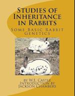 Studies of Inheritance in Rabbits