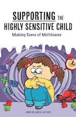 Supporting the Highly Sensitive Child: Making Sense of Meltdowns 