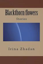 Blackthorn Flowers