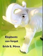 Elephants Can Forget