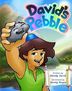 David's Pebble