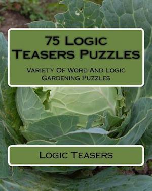 75 Logic Teasers Puzzles