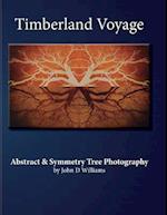 Timberland Voyage: Tree Abstract & Symmetry Art Photography 