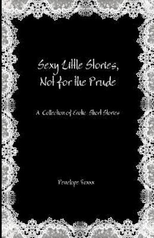 Sexy Little Stories, Not for the Prude