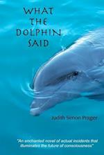 What the Dolphin Said