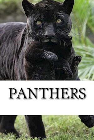 Panthers