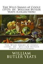 The Wild Swans at Coole (1919) by