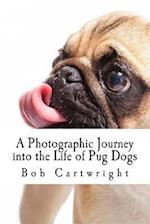A Photographic Journey into the Life of Pug Dogs