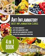 Anti Inflammatory