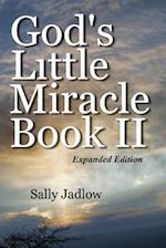 God's Little Miracle Book II
