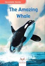 The Amazing Whale