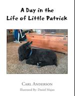 A Day in the Life of Little Patrick