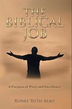 Biblical Job