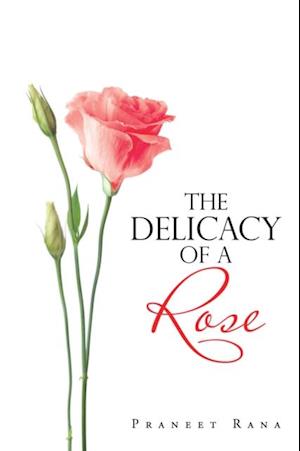 Delicacy of a Rose