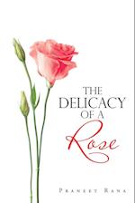 The Delicacy of a Rose 