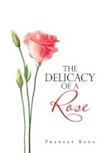 The Delicacy of a Rose 