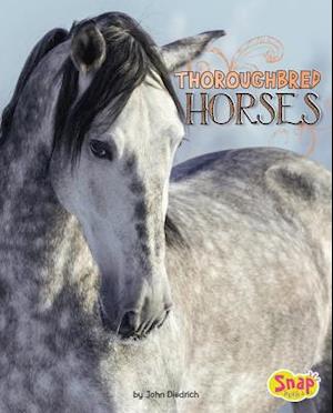 Thoroughbred Horses