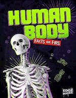 Human Body Facts or Fibs