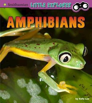 Amphibians