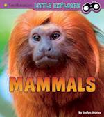 Mammals