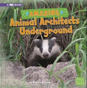 Amazing Animal Architects Underground