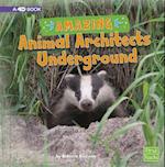 Amazing Animal Architects Underground