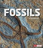 Fossils