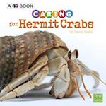 Caring for Hermit Crabs