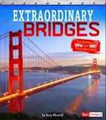 Extraordinary Bridges