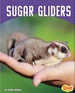 Sugar Gliders