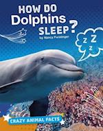 How Do Dolphins Sleep?