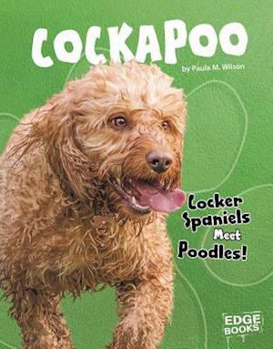 Cockapoo