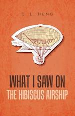 What I Saw on the Hibiscus Airship