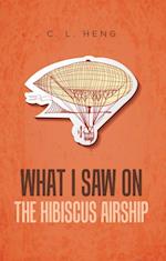 What I Saw on the Hibiscus Airship