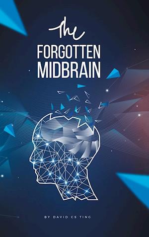 The Forgotten Midbrain