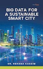 Big Data for a Sustainable Smart City 