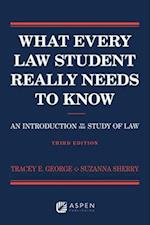What Every Law Student Really Needs to Know