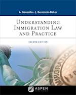 Understanding Immigration Law and Practice