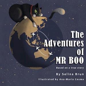 The Adventures of MR Boo