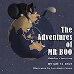 The Adventures of MR Boo