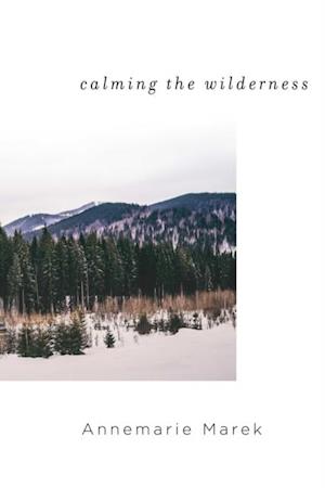 Calming the Wilderness