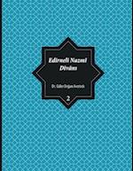 Edirneli Nazmi Divan&#305;, Cilt 2