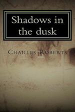 Shadows in the Dusk
