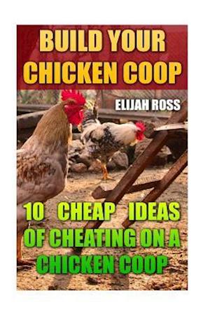 Build Your Chicken COOP