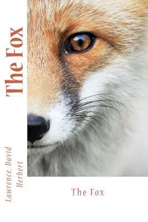 The Fox